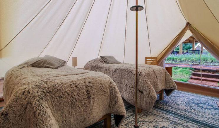 Cozy seating area with fireplace